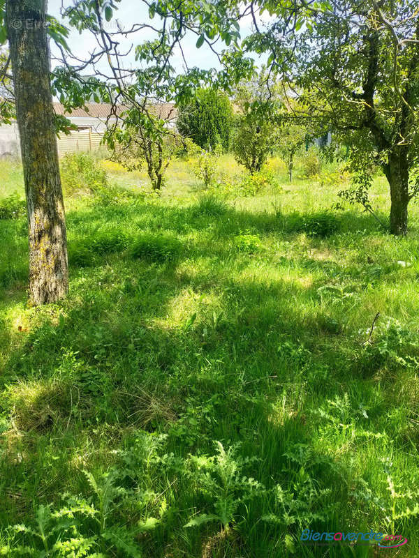 Terrain à SAINT-JULIEN-L&#039;ARS