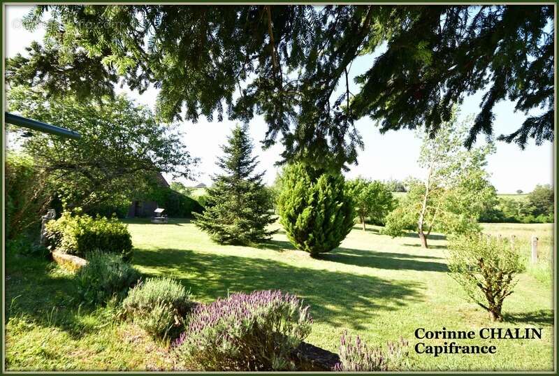 Maison à vendre 7 pièces SORBIER (03) - photo 7