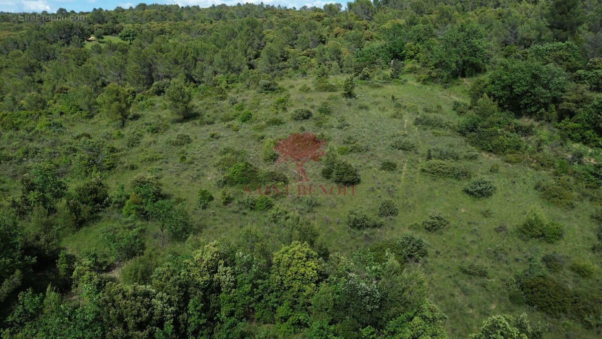 Terrain à PUECHABON
