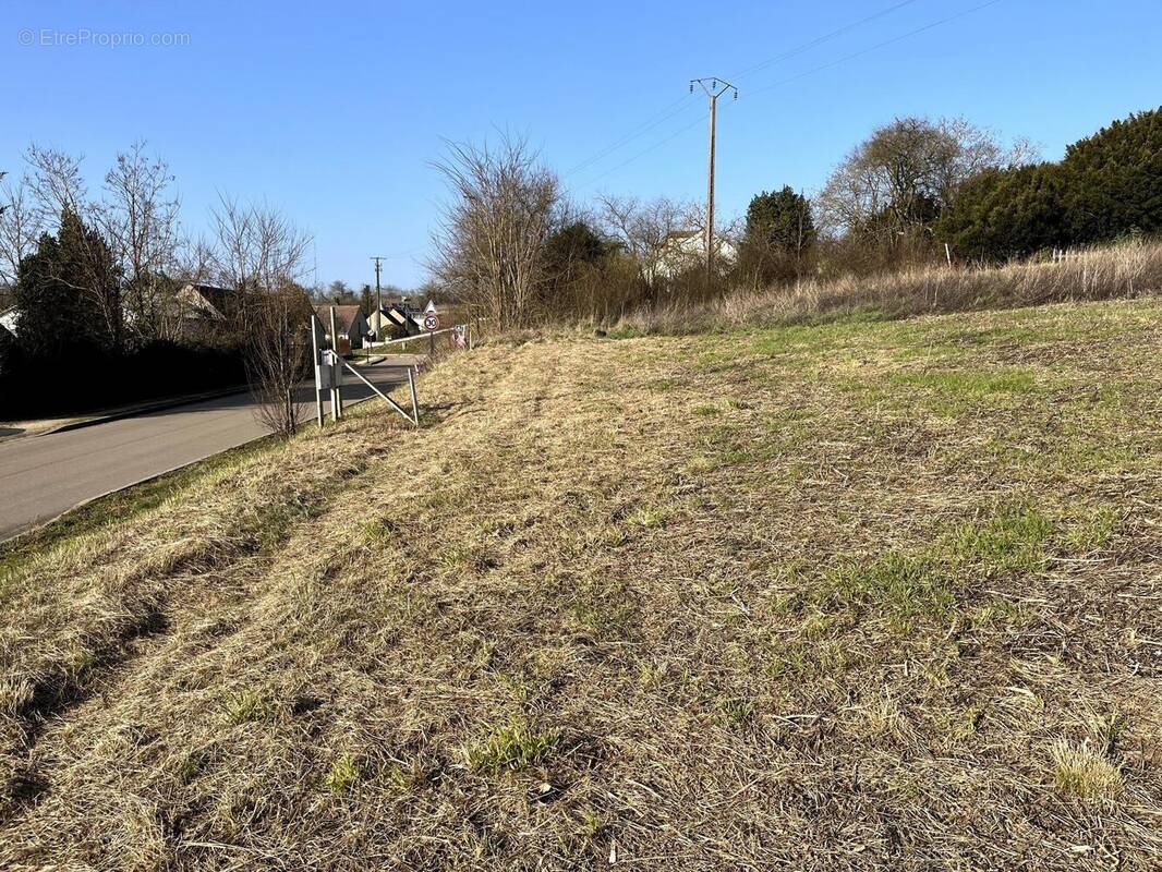 Photo 1 - Terrain à SERGINES