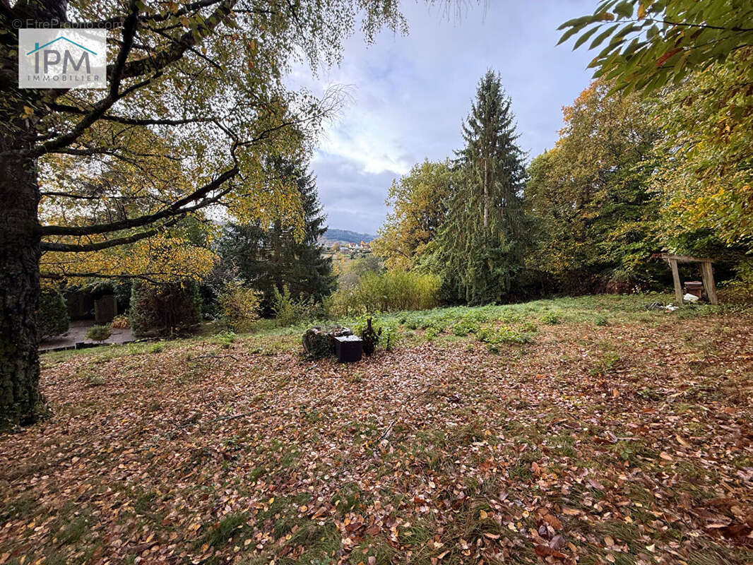 Terrain à LUTZELHOUSE