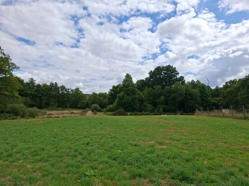 Grange , maisonnette, en pierre, brute à rénover, sur terrain de 10 000 m2 avec étang et Mobil Home. Proche Villaines la Juhel,  - photo 2