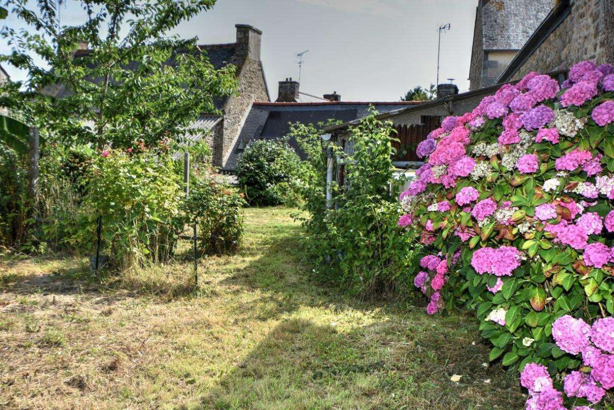 Maison 2 chambres, 74 m2, pompe à chaleur et panneaux photovoltaïques - photo 3