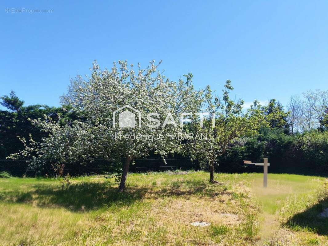 Photo 9 - Maison à MONTAUBAN