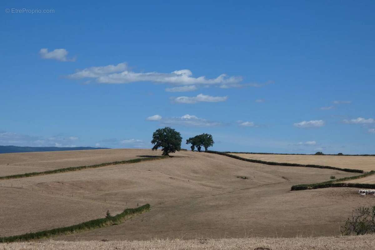 Bourgogne sud - anciens batiments agricoles - photo 5