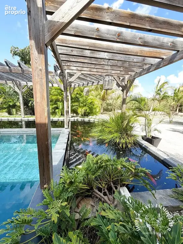 piscine et bassin poissons