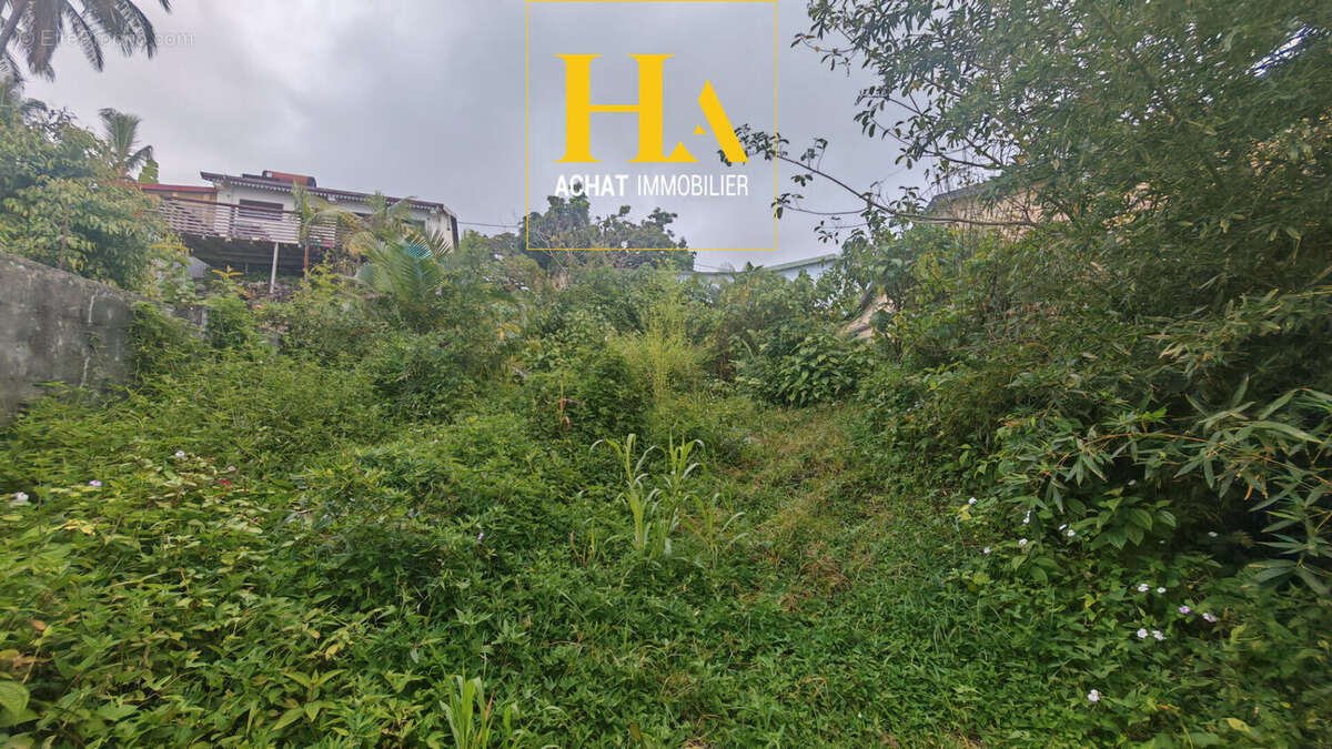 Maison à SAINT-PHILIPPE