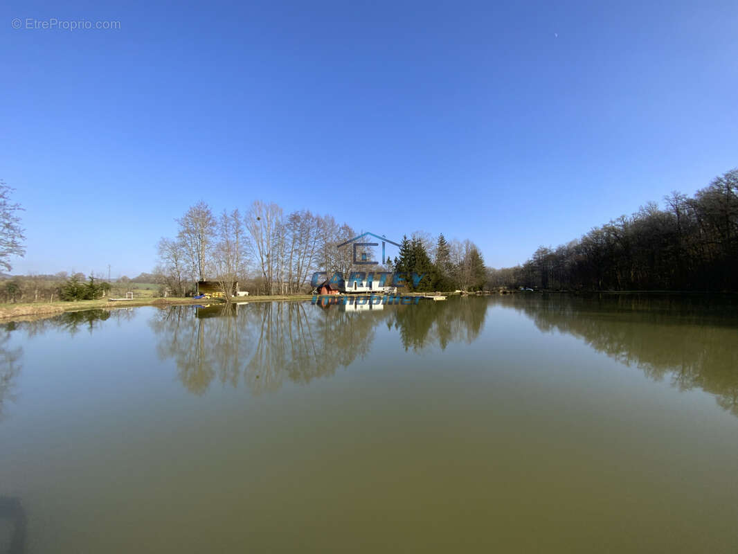 Terrain de loisir avec 3 etangs - axe lure / villersexel - photo 3
