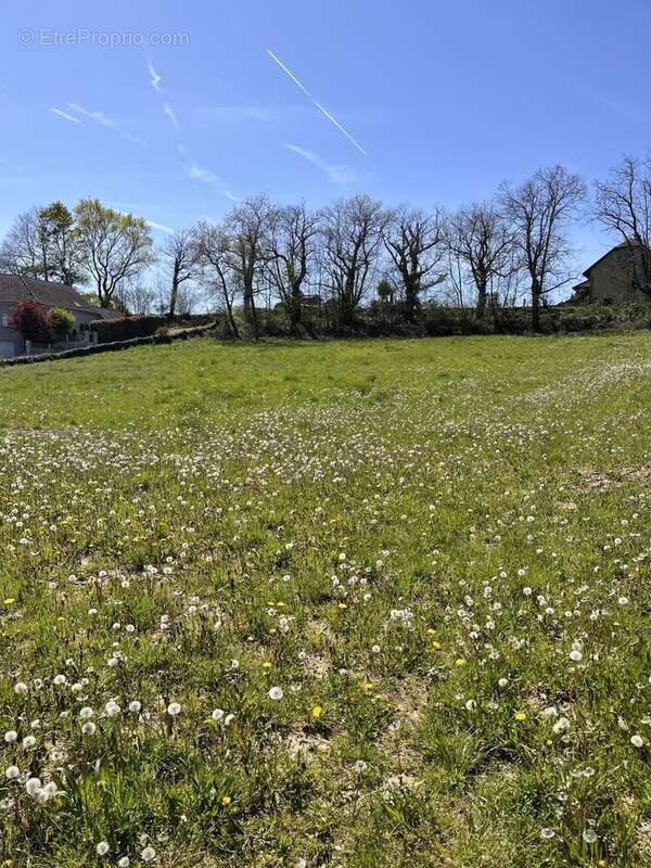 Terrain à LOUEY