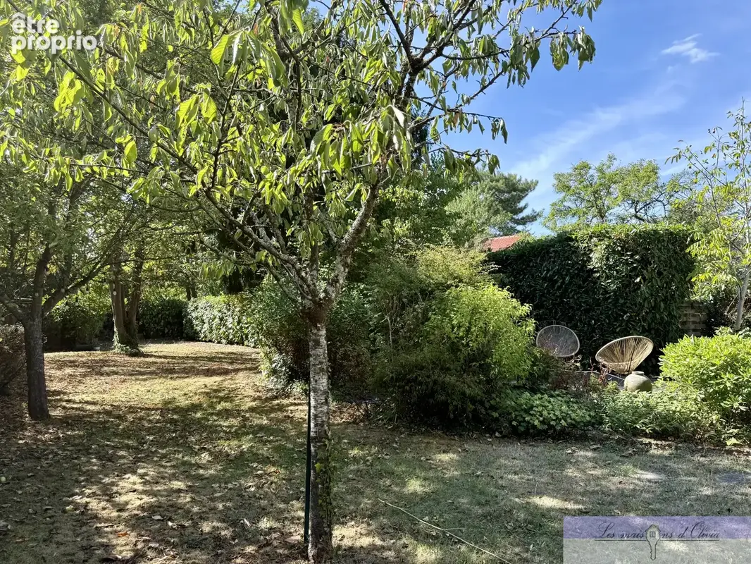 Maison de charme 180 m2 , Terrain arboré de 1 100 m2 ,Studio indépendant - photo 7