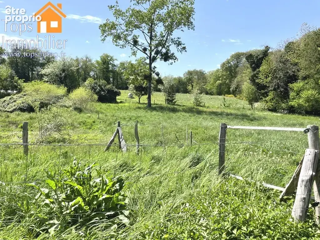 Petit corps de ferme rénové avec grand terrain - photo 2