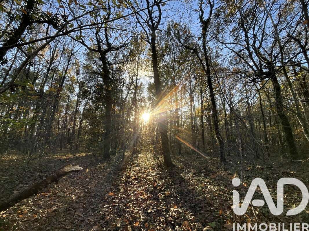 Photo 3 - Maison à VENSAC