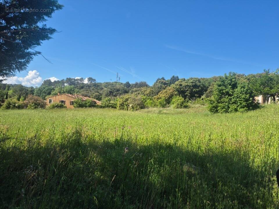 Terrain à BRUE-AURIAC