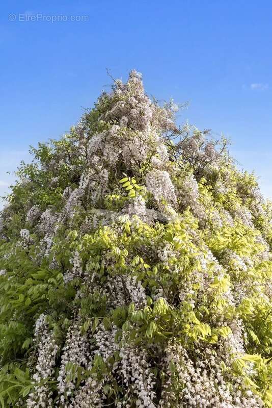 Maison à SAINTE-MAXIME