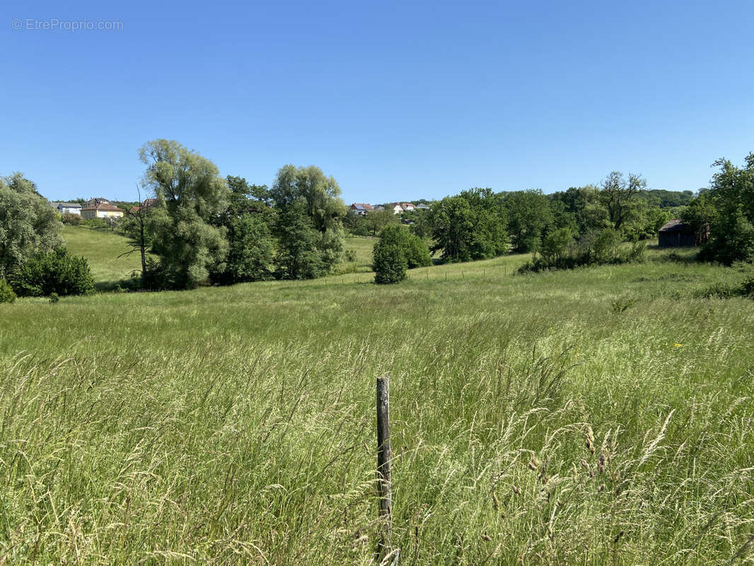 Terrain à REMELFING