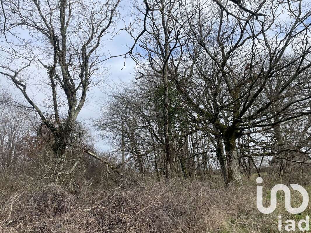 Photo 4 - Terrain à DUNET