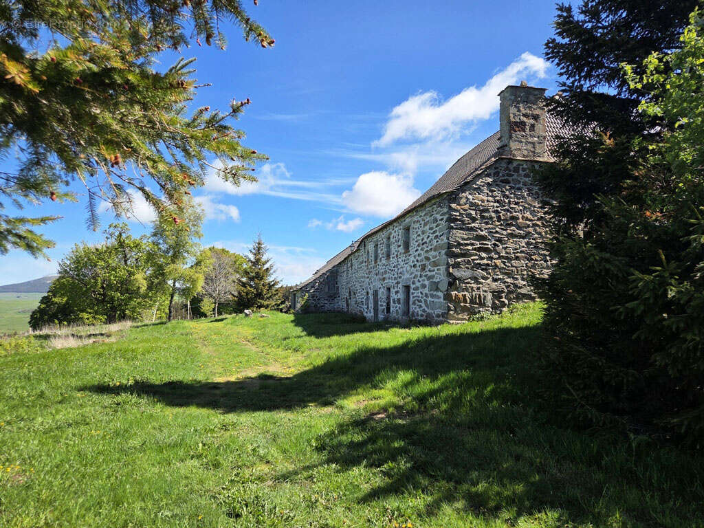 Belle ferme en pierre indépendante proche du Béage - photo 8