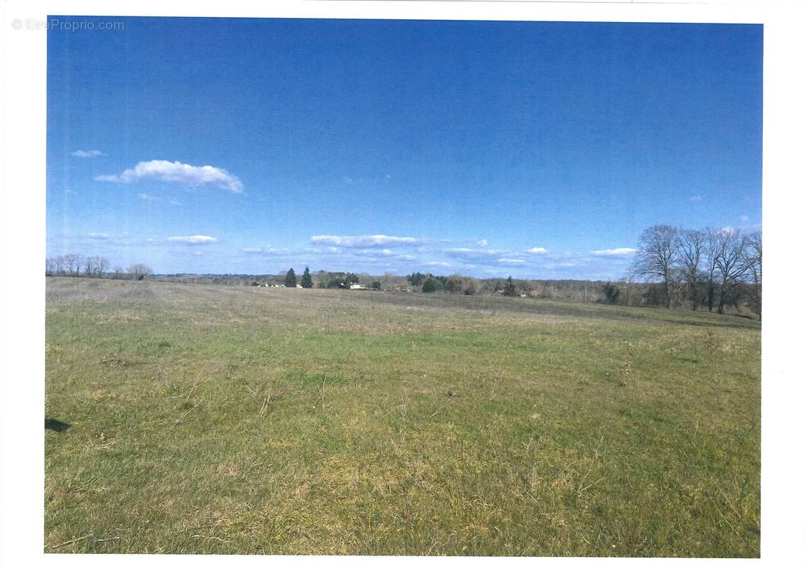 Terrain à MONPAZIER