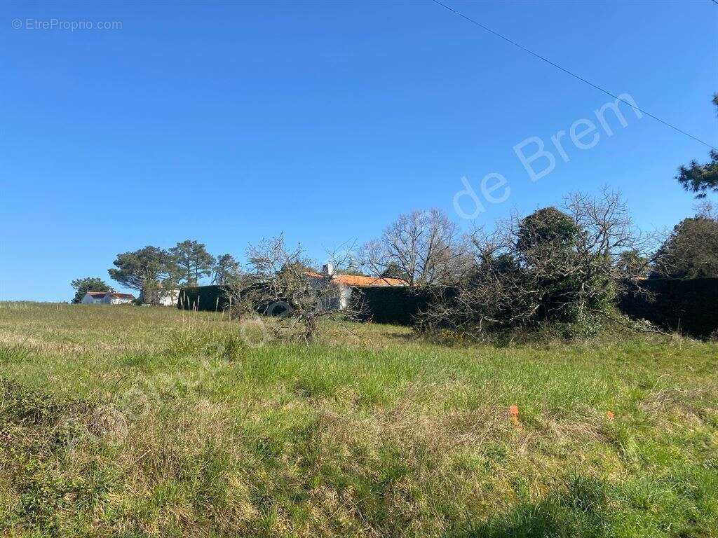 Terrain à BREM-SUR-MER
