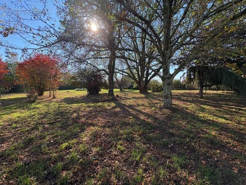 Maison à AIRE-SUR-L&#039;ADOUR