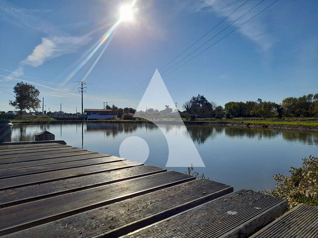 Terrain à BOURCEFRANC-LE-CHAPUS