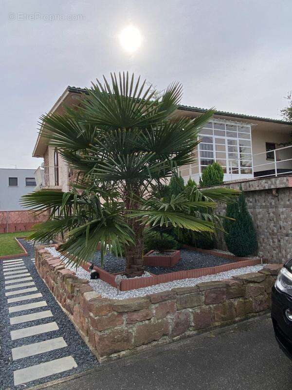 Maison à INGERSHEIM