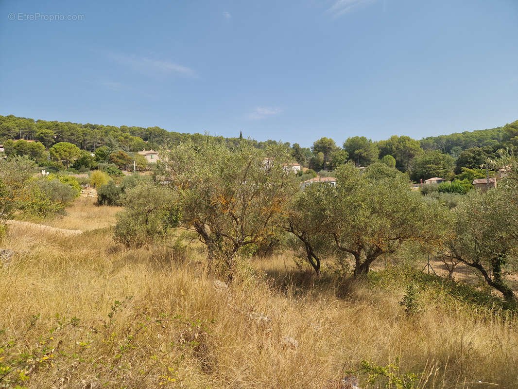 Terrain à LORGUES