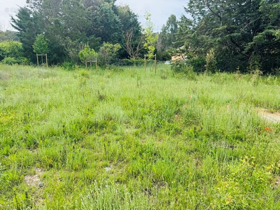 Terrain 450 m² à Peynier  - photo 4