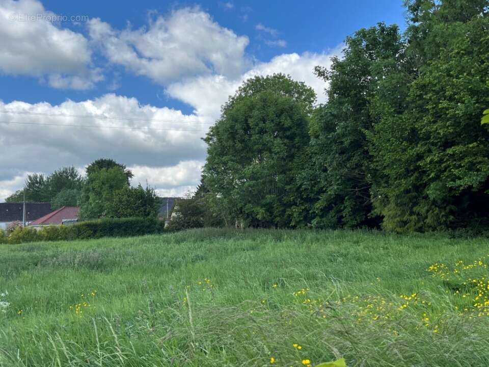 Terrain à BERNEUIL