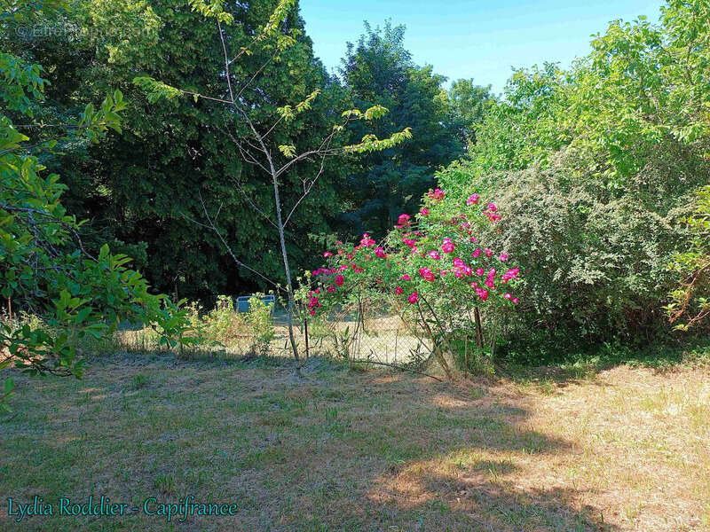 Fermette 10 pièces - grande grange - Rare à SAINT VICTOR MONTVIANEIX (63550) en Auvergne-Rhône Alpes - photo 32
