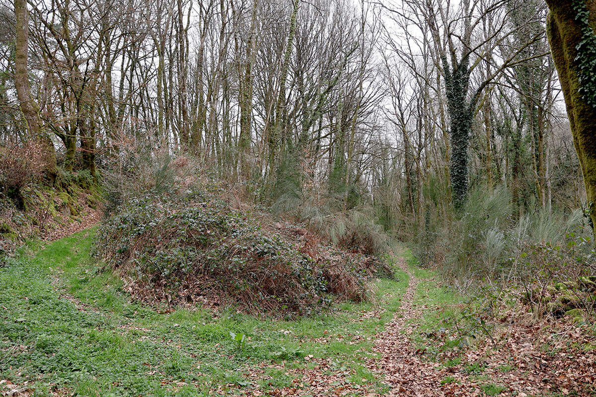 Maison à CRUGUEL