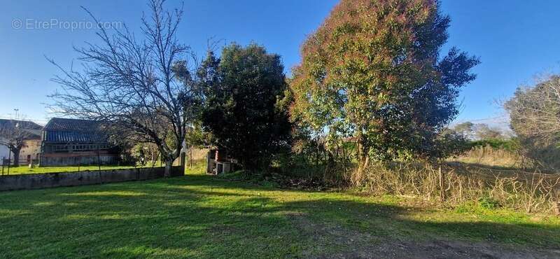Immeuble de rapport à vendre CAZAUBON (32) - photo 19