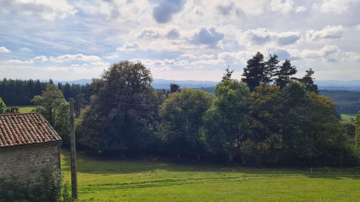 Maison à SAINT-PAL-DE-MONS