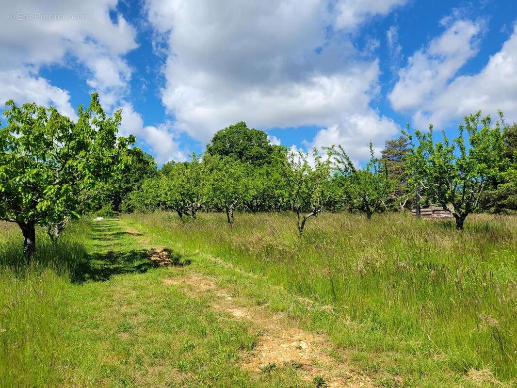 Photo 5 - Maison à SIMIANE-LA-ROTONDE