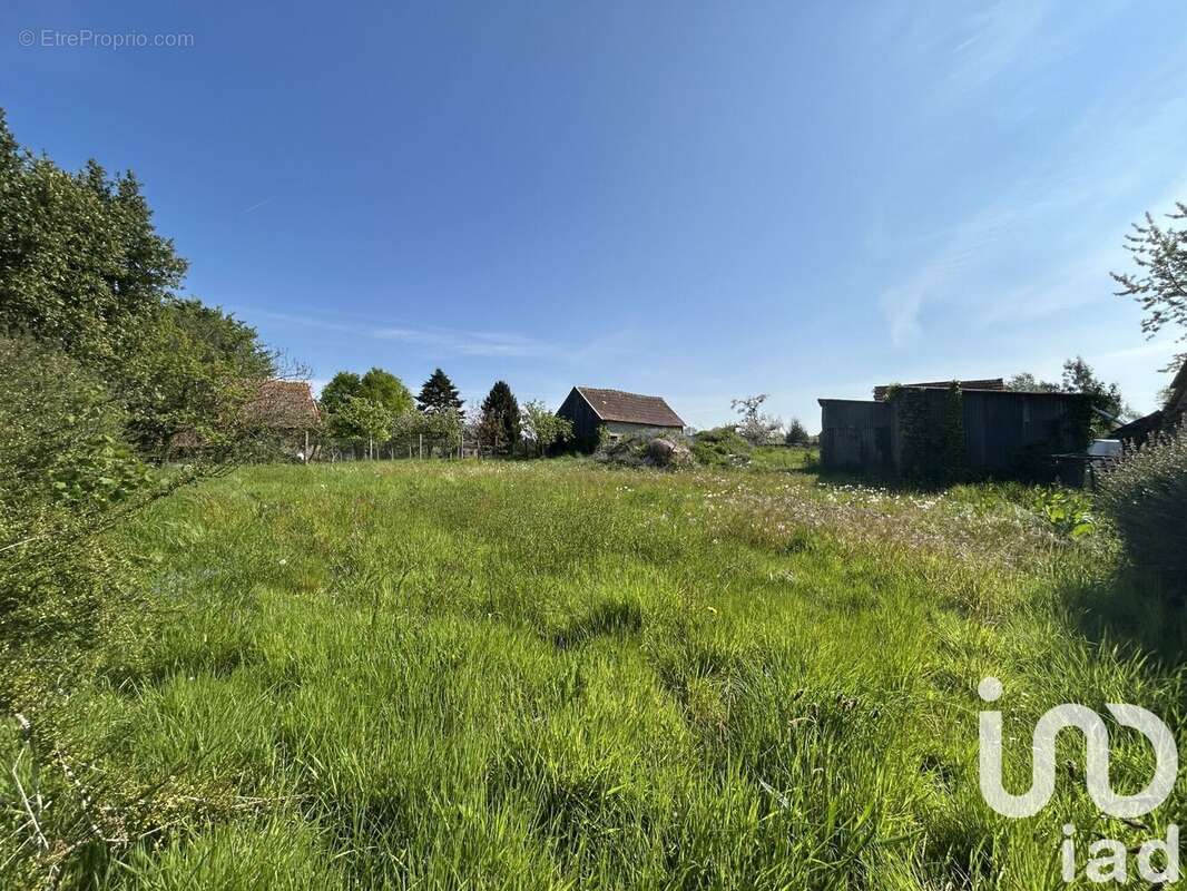 Photo 3 - Terrain à ISIGNY-LE-BUAT