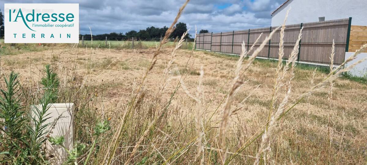 Terrain à L&#039;AIGUILLON-SUR-VIE