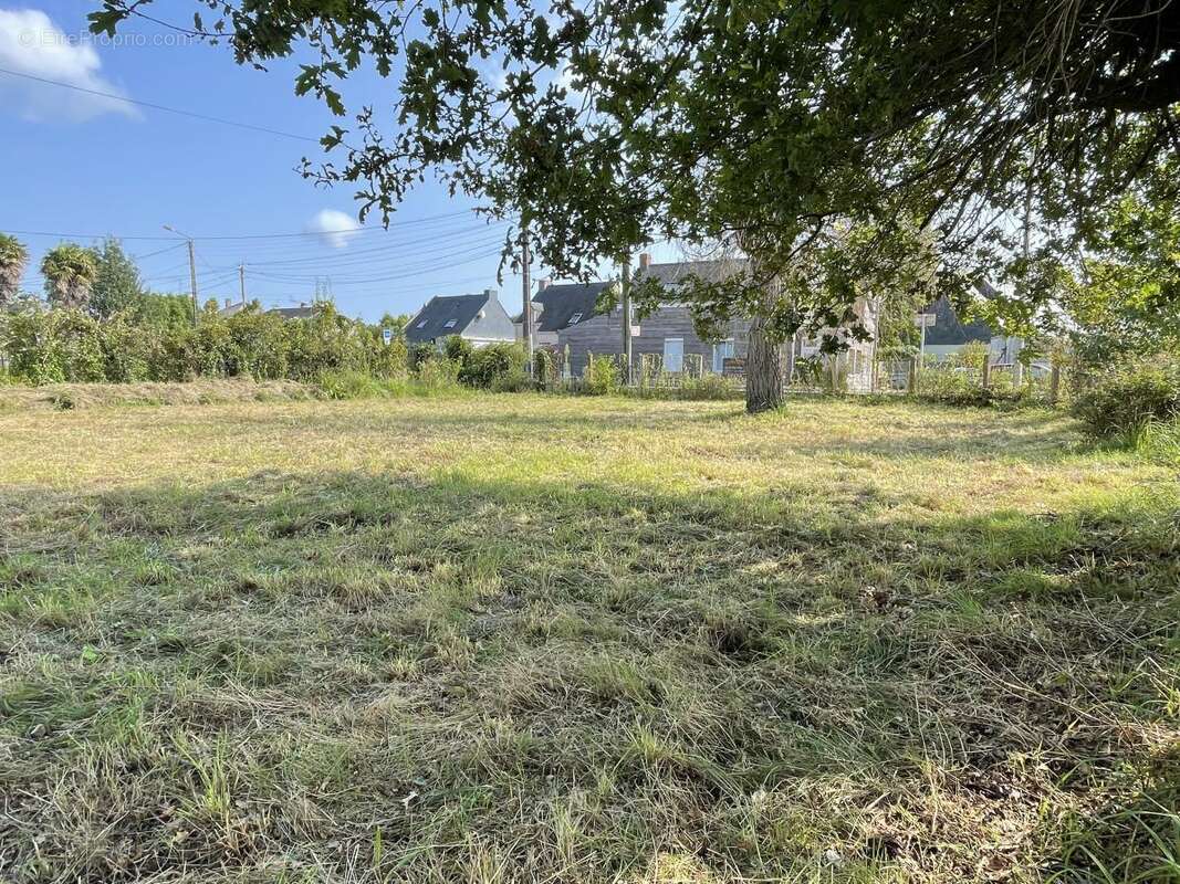 Terrain à DONGES