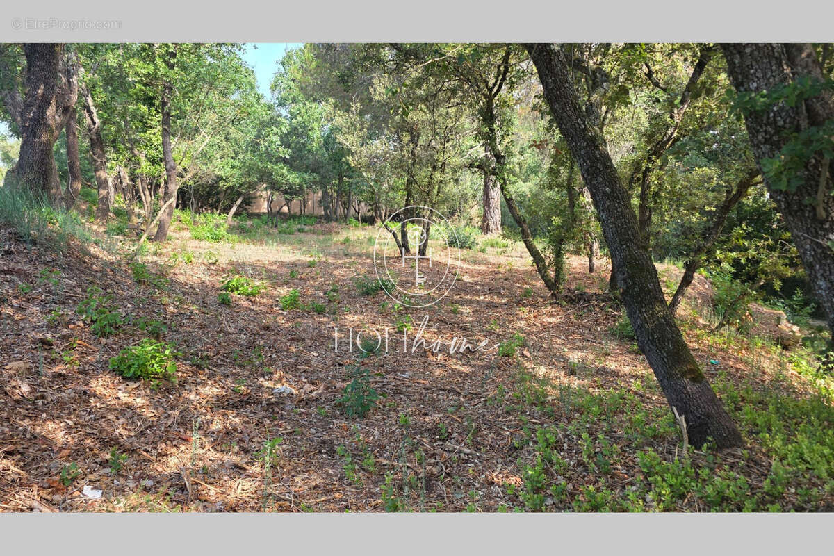Terrain 1672 m² à Trets  - photo 2