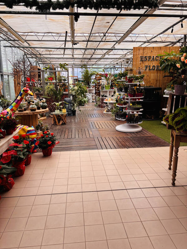Commerce à CORMONTREUIL