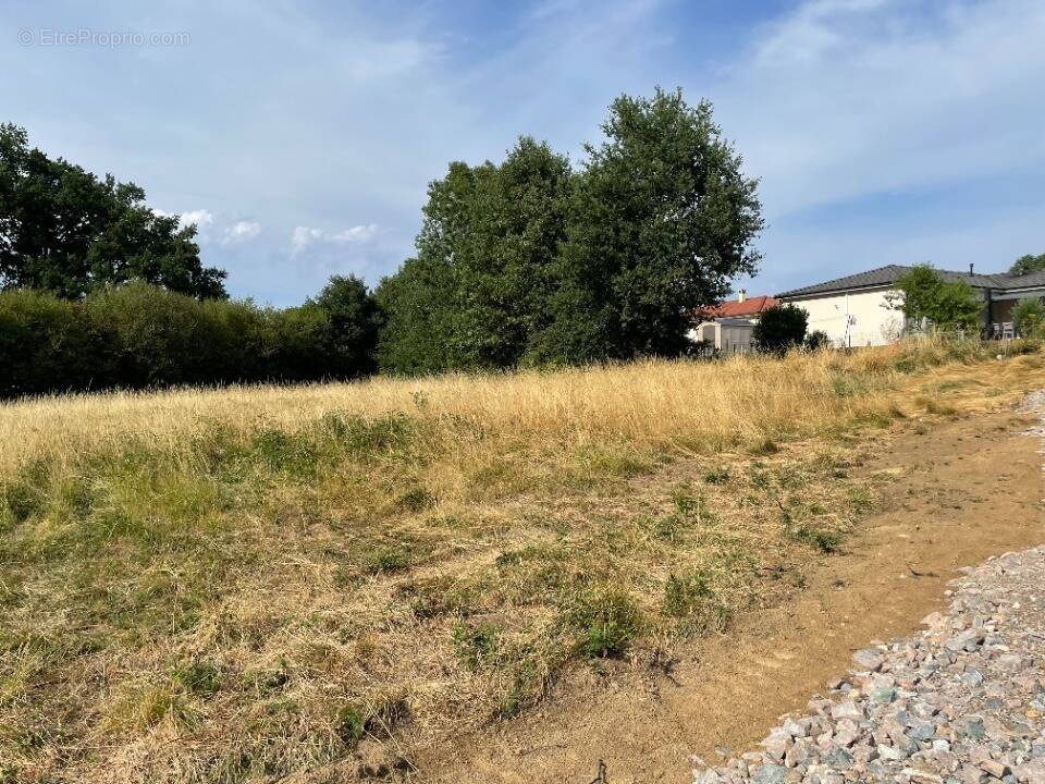 Terrain à CONDAT-SUR-VIENNE