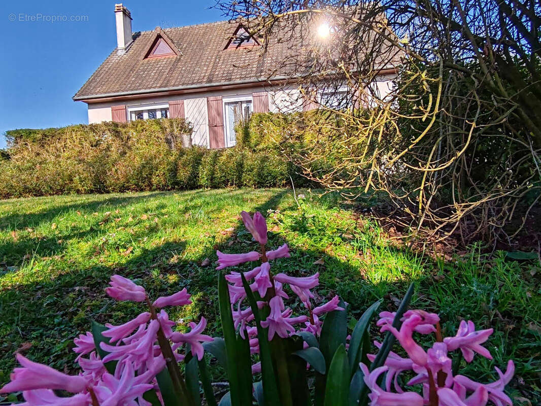 Maison à SOISSONS