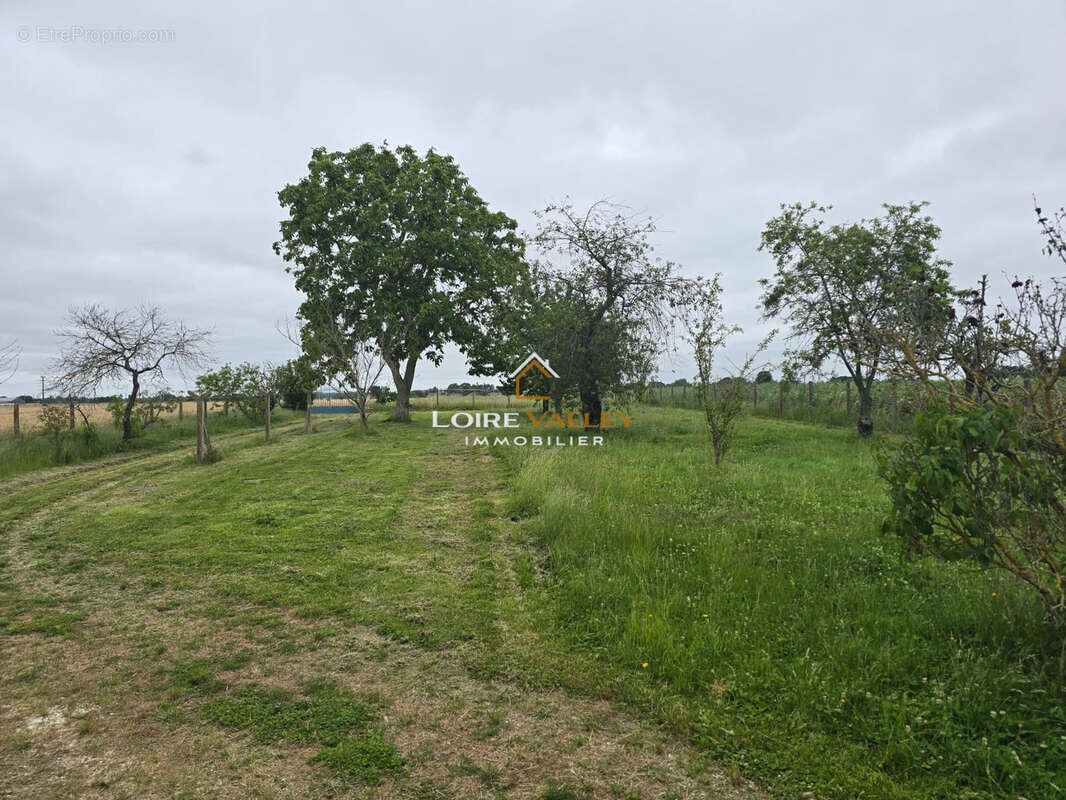 Maison à rénover avec vue Loire et nombreuses dépendances - photo 9