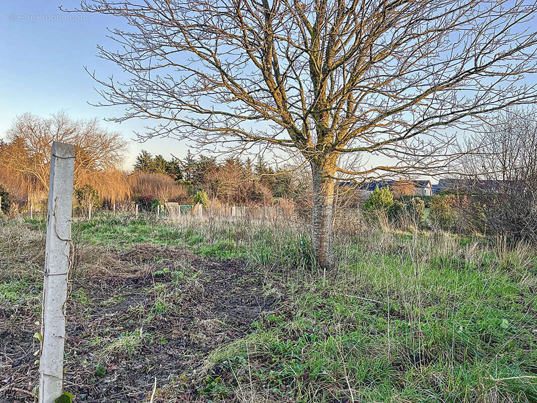 Terrain à LANCIEUX