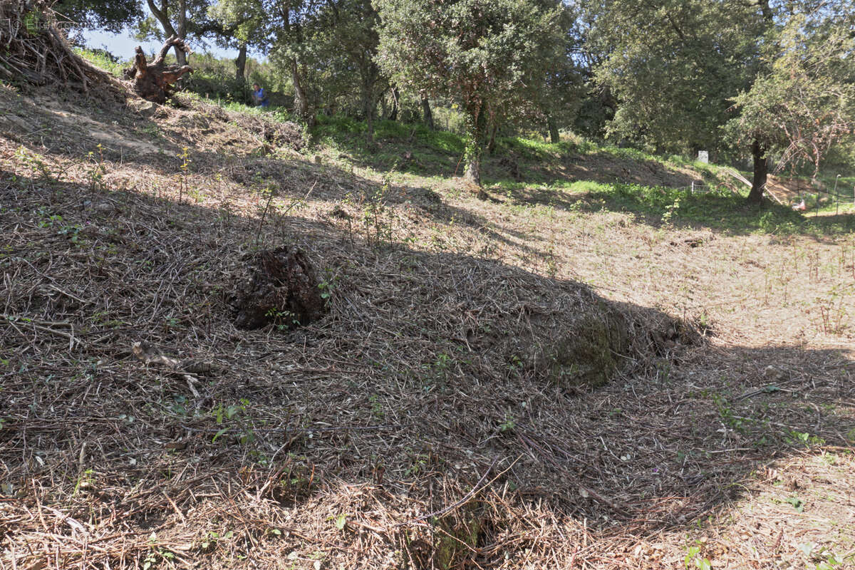 Terrain à CASAGLIONE