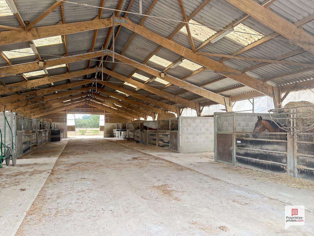 Propriété equestre Erdre En Anjou 7 pièce(s) 169 m2 - photo 2