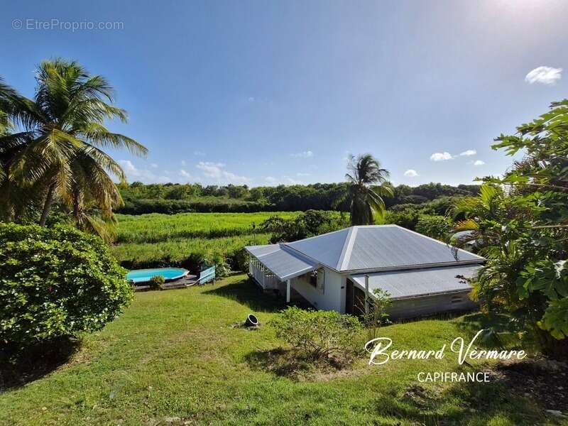 Maison et 3 bungalows - 9 pièces - Piscine - Terrain 2 000m² - photo 7