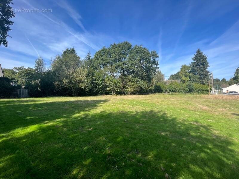 Terrain à SAINT-MARCEL