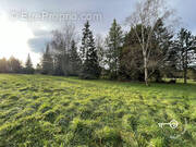 Terrain à MONTRIEUX-EN-SOLOGNE