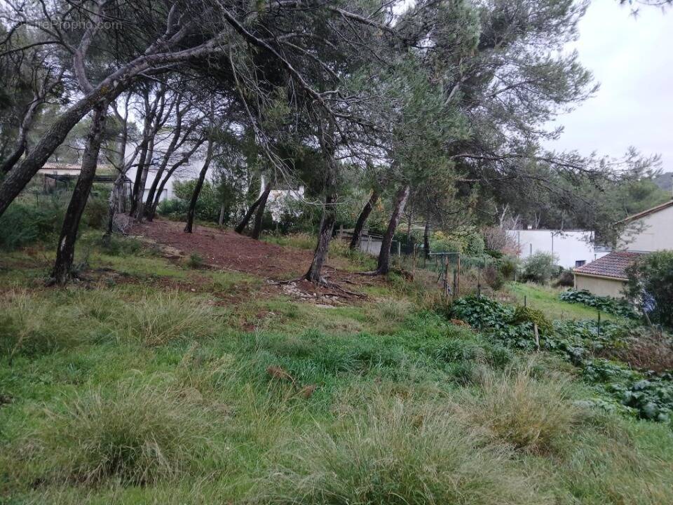 Terrain à VENTABREN