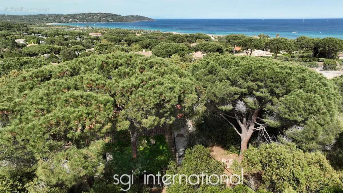 Maison à RAMATUELLE